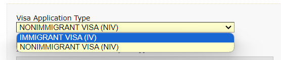 US Visa status
