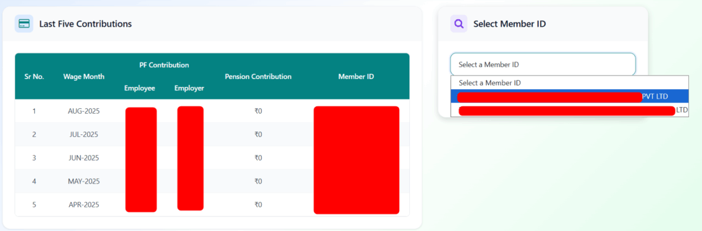 Passbook Lite EPF